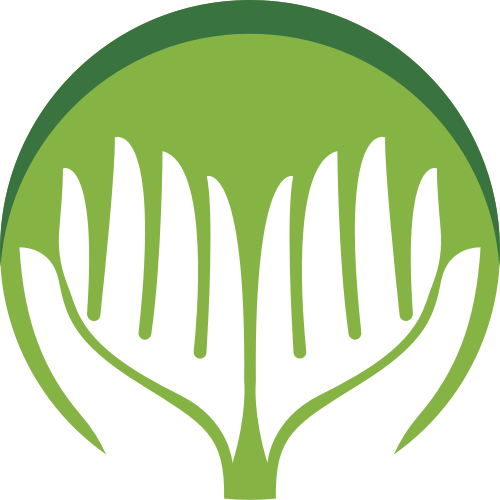 kaiyun